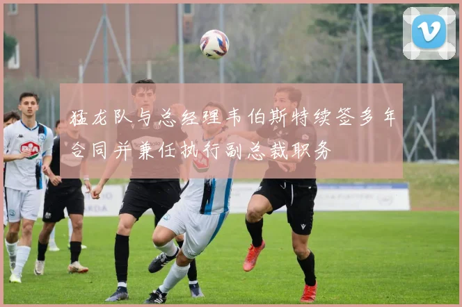 猛龙队与总经理韦伯斯特续签多年合同并兼任执行副总裁职务